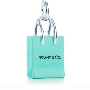 Tiffany & Co. Bag Necklace